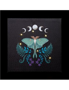 Luna Moth Light Up Canvas Plaque DF_80623