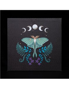 Luna Moth Light Up Canvas Plaque DF_80623 2