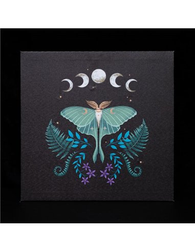 Luna Moth Light Up Canvas Plaque DF_80623