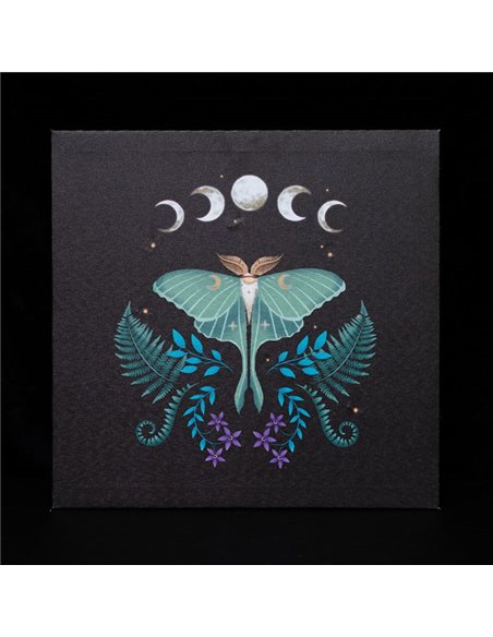 Luna Moth Light Up Canvas Plaque DF_80623 - pic 140085 | FastDaddyshop