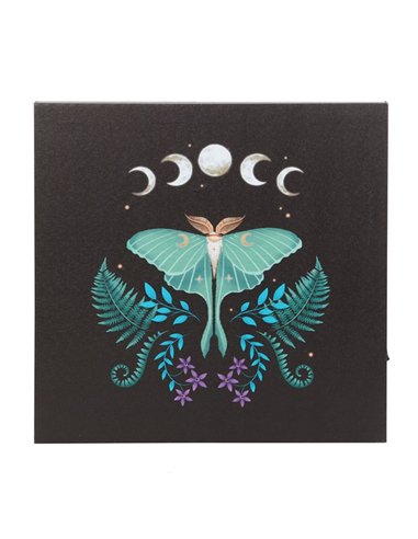 Luna Moth Light Up Canvas Plaque DF_80623