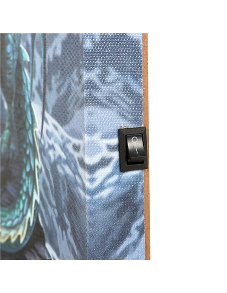 Protector of Magick Light Up LED Canvas Plaque by Lisa Parker LP_16725 - pic 140117 | FastDaddyshop