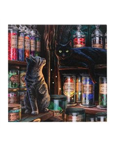 Magical Emporium Light Up Canvas Plaque by Lisa Parker LP_36522