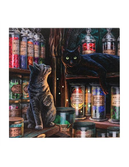 Magical Emporium Light Up Canvas Plaque by Lisa Parker LP_36522 - pic 140131 | FastDaddyshop