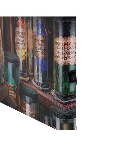Magical Emporium Light Up Canvas Plaque by Lisa Parker LP_36522