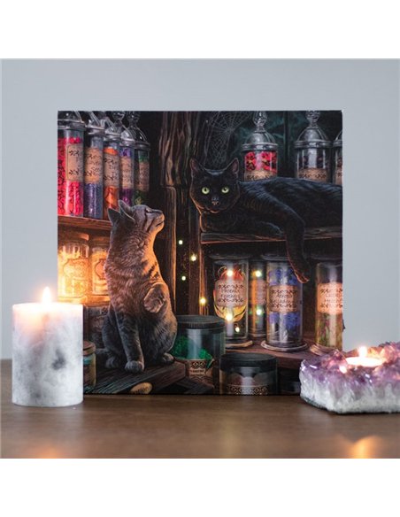 Magical Emporium Light Up Canvas Plaque by Lisa Parker LP_36522 - pic 140135 | FastDaddyshop