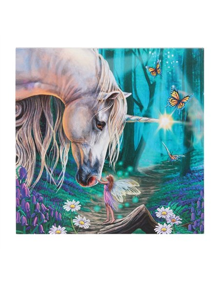 Fairy Whispers Light Up Canvas Plaque by Lisa Parker LP_36622 - pic 140137 | FastDaddyshop