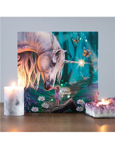 Fairy Whispers Light Up Canvas Plaque by Lisa Parker LP_36622