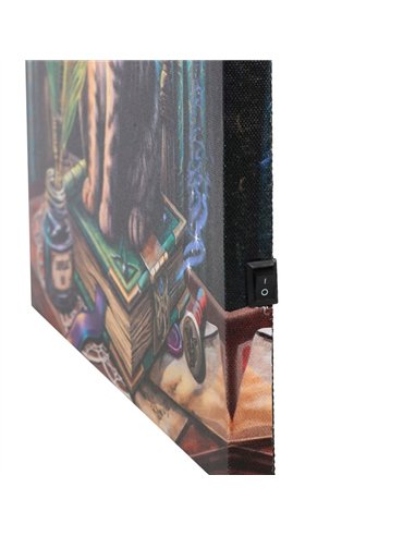Book of Shadows Light Up Canvas Plaque by Lisa Parker LP_36822