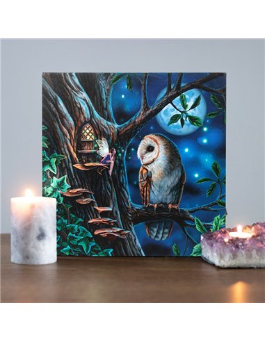 Fairy Tales Light Up Canvas Plaque by Lisa Parker LP_37022