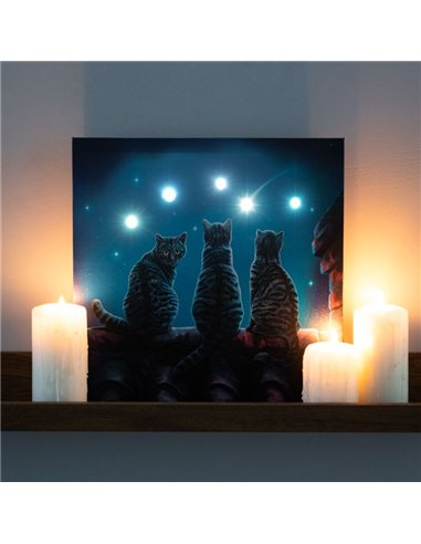 Wish Upon A Star Light Up Canvas Plaque by Lisa Parker LP_37623