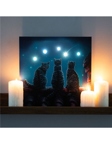 Wish Upon A Star Light Up Canvas Plaque by Lisa Parker LP_37623 - pic 140165 | FastDaddyshop