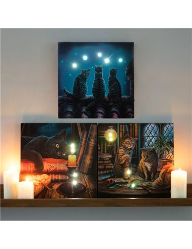 Wish Upon A Star Light Up Canvas Plaque by Lisa Parker LP_37623