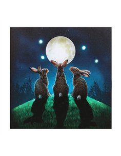 Moon Shadows Light Up Canvas Plaque by Lisa Parker LP_37823