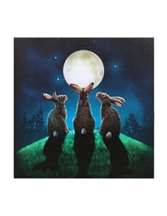 Moon Shadows Light Up Canvas Plaque by Lisa Parker LP_37823 2