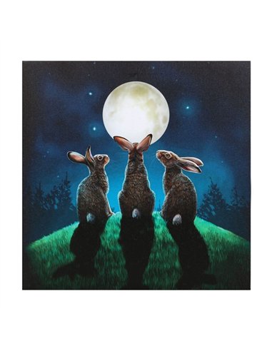 Moon Shadows Light Up Canvas Plaque by Lisa Parker LP_37823