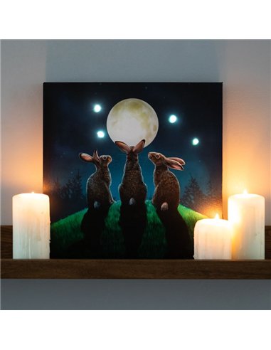 Moon Shadows Light Up Canvas Plaque by Lisa Parker LP_37823