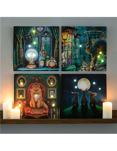 Moon Shadows Light Up Canvas Plaque by Lisa Parker LP_37823