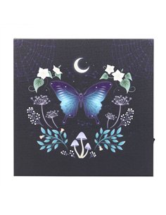 Midnight Moth Light Up Canvas Plaque MF_08825 2