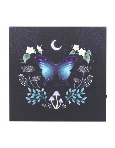 Midnight Moth Light Up Canvas Plaque MF_08825