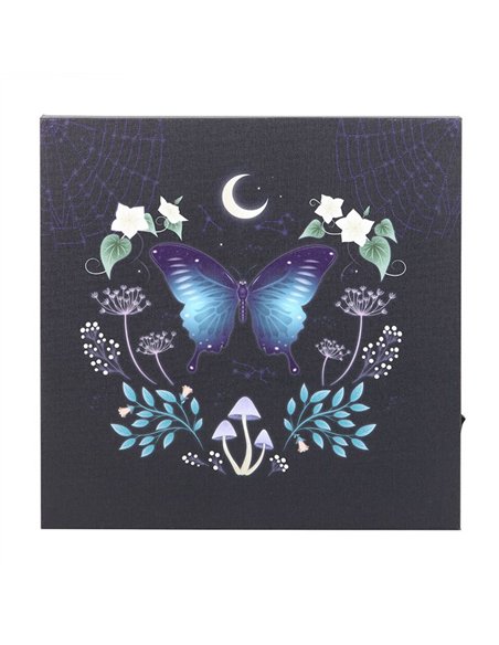 Midnight Moth Light Up Canvas Plaque MF_08825 - pic 140181 | FastDaddyshop