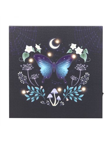 Midnight Moth Light Up Canvas Plaque MF_08825