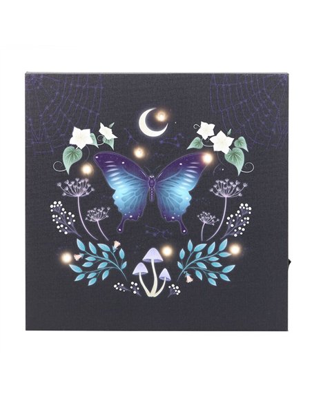 Midnight Moth Light Up Canvas Plaque MF_08825 - pic 140182 | FastDaddyshop