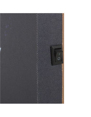Midnight Moth Light Up Canvas Plaque MF_08825