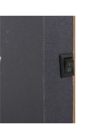 Midnight Moth Light Up Canvas Plaque MF_08825 - pic 140183 | FastDaddyshop