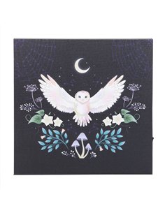 Night Owl Light Up Canvas Plaque MF_08925 2