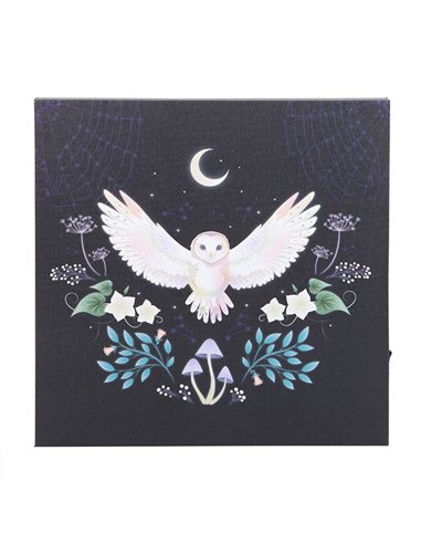 Night Owl Light Up Canvas Plaque MF_08925
