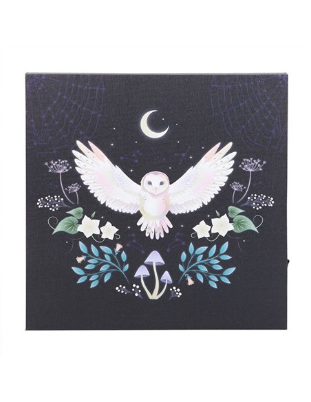 Night Owl Light Up Canvas Plaque MF_08925 - pic 140185 | FastDaddyshop