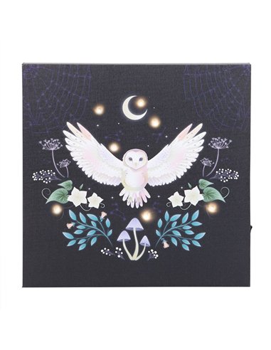 Night Owl Light Up Canvas Plaque MF_08925