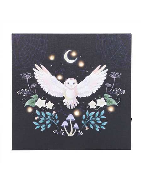 Night Owl Light Up Canvas Plaque MF_08925 - pic 140186 | FastDaddyshop