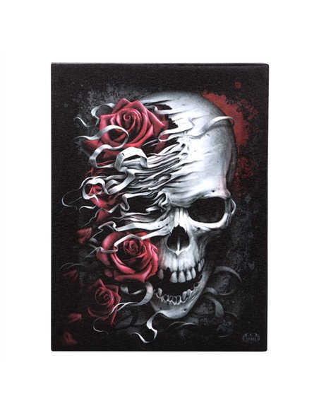 19x25cm Skulls n Roses Canvas Plaque by Spiral Direct SD_77623 - pic 140192 | FastDaddyshop