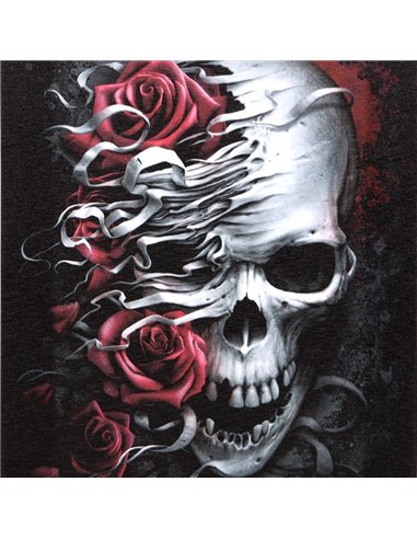19x25cm Skulls n Roses Canvas Plaque by Spiral Direct SD_77623