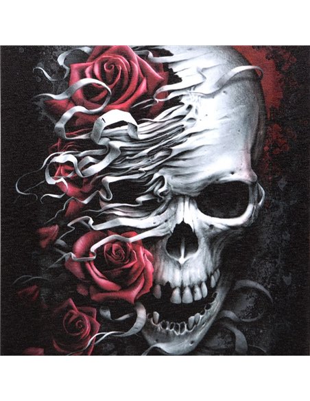 19x25cm Skulls n Roses Canvas Plaque by Spiral Direct SD_77623 - pic 140193 | FastDaddyshop