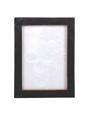 19x25cm Skulls n Roses Canvas Plaque by Spiral Direct SD_77623