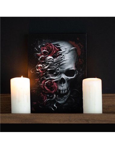 19x25cm Skulls n Roses Canvas Plaque by Spiral Direct SD_77623