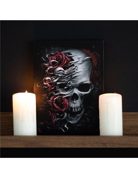 19x25cm Skulls n Roses Canvas Plaque by Spiral Direct SD_77623 - pic 140195 | FastDaddyshop