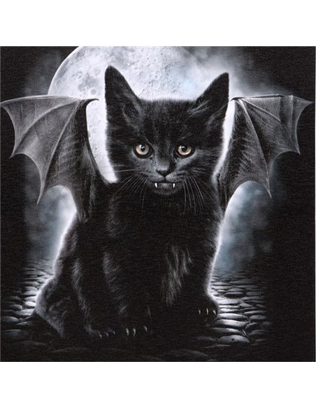 19x25cm Bat Cat Canvas Plaque by Spiral Direct SD_77723 - pic 140197 | FastDaddyshop