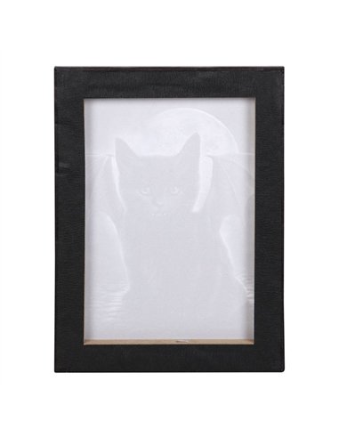 19x25cm Bat Cat Canvas Plaque by Spiral Direct SD_77723