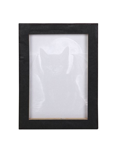 19x25cm Bat Cat Canvas Plaque by Spiral Direct SD_77723 - pic 140198 | FastDaddyshop