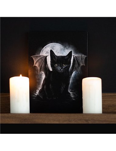 19x25cm Bat Cat Canvas Plaque by Spiral Direct SD_77723