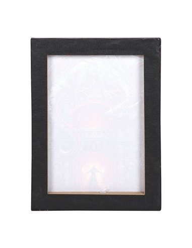 19x25cm Dragon's Lair Canvas Plaque by Spiral Direct SD_78023