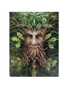 19x25cm Oak King Canvas Plaque by Anne Stokes WP_10613