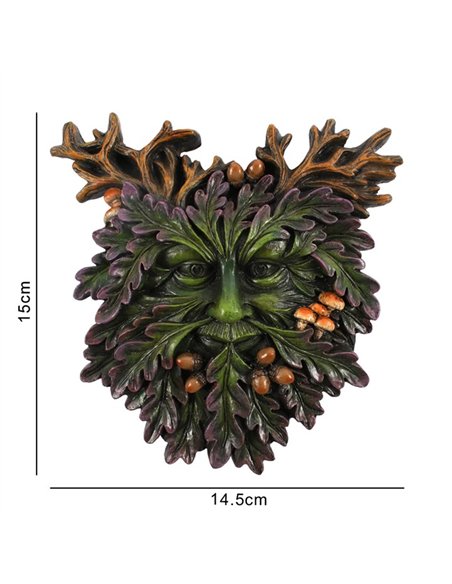 Green Man Small Face Plaque TM_36517 - pic 140403 | FastDaddyshop
