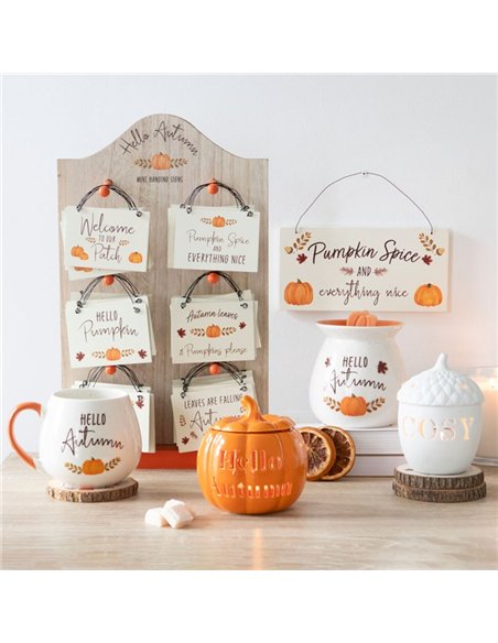 20cm Pumpkin Spice Hanging Sign AU_66822 - pic 140638 | FastDaddyshop