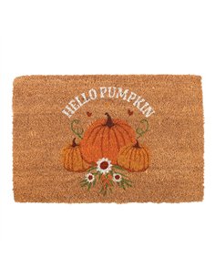 Natural Autumn Days Hello Pumpkin Doormat DY_78825