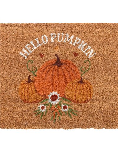 Natural Autumn Days Hello Pumpkin Doormat DY_78825